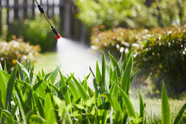 24/7 Emergency Ant Control experts in Huntsville, MO